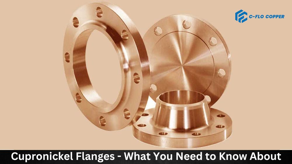 Cupronickel Flanges - What You Need to Know About