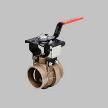 Medical Grooved Butterfly Valve